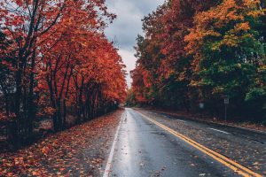 Drive through fall scene
