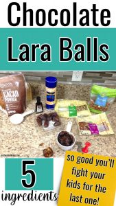 pin for pinterest: Chocolate Lara Balls. 5 ingredients (so good you'll fight your kids for the last one!)