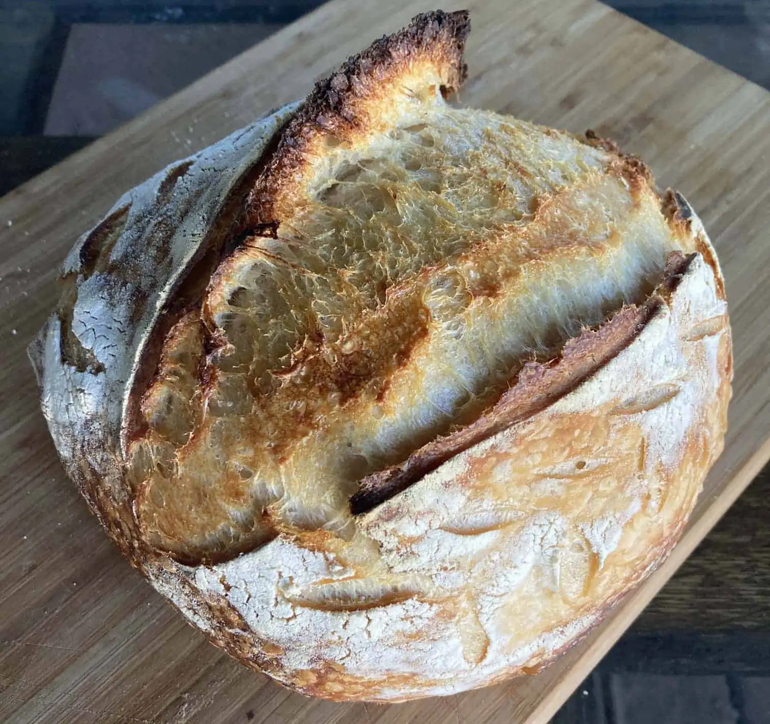 Falling in Love with Sourdough Bread