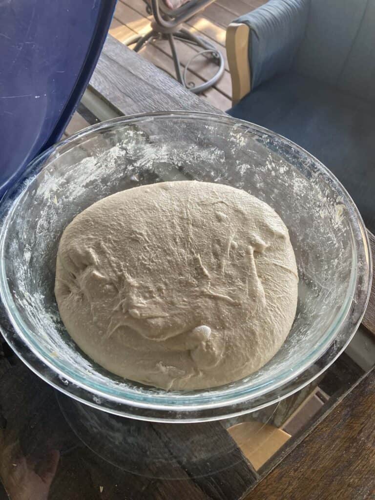 Sourdough bread dough