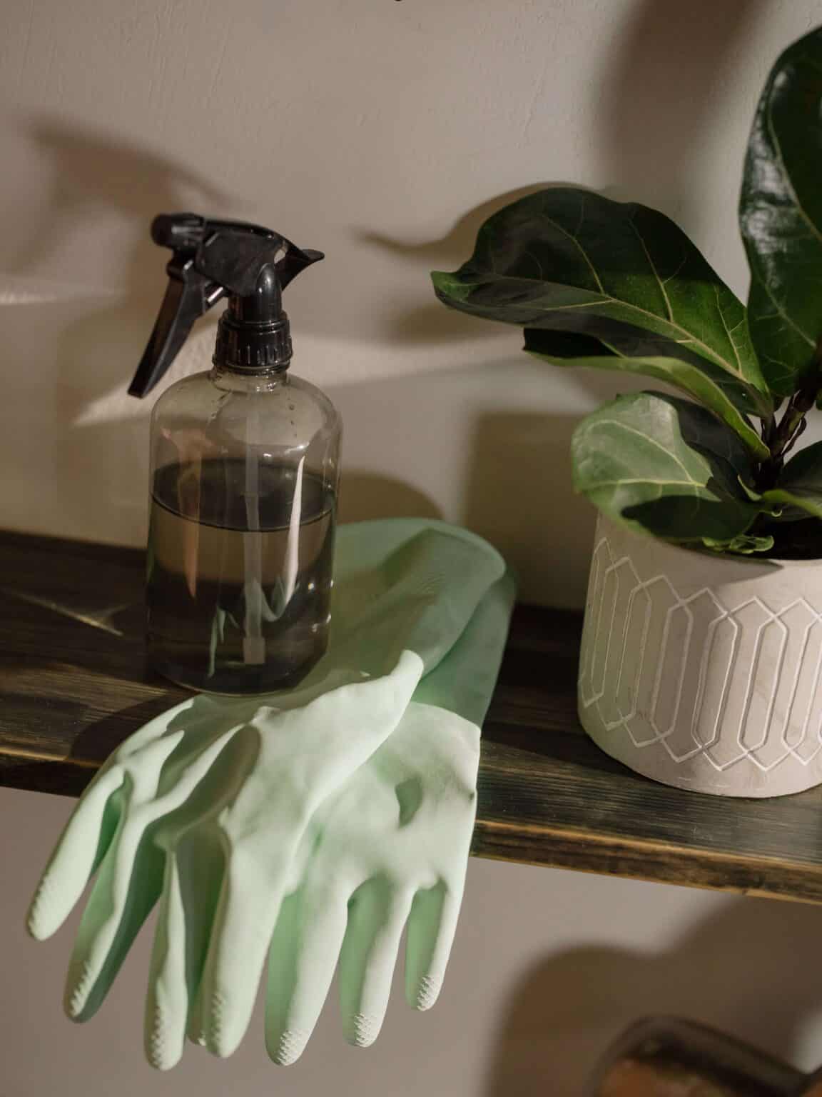 spray bottle and rubber gloves sitting on shelf by plant